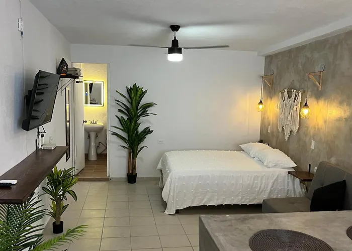 Apartamento Estudio Centro Histórico #7 San José del Cabo